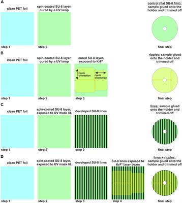 Bio-inspired hierarchical polymer micro- and nanostructures for anti-adhesion applications